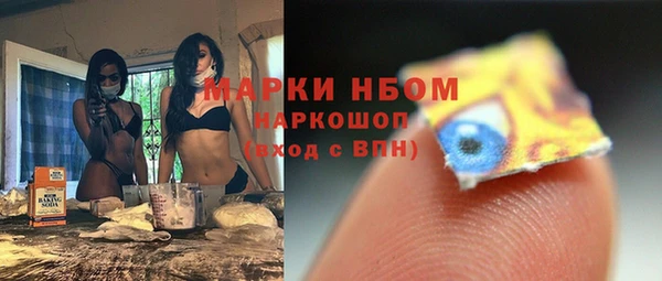 прущие грибы Арсеньев
