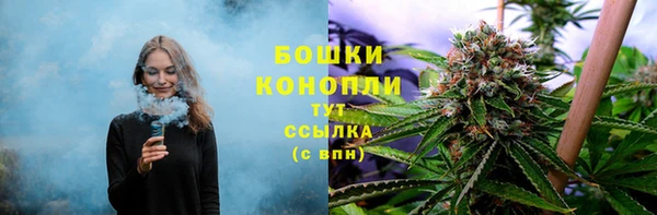 крисы Аркадак