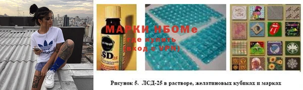 крисы Аркадак