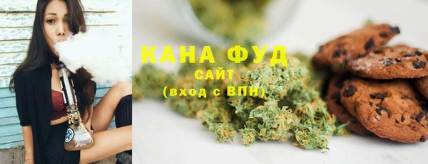 индика Гусь-Хрустальный