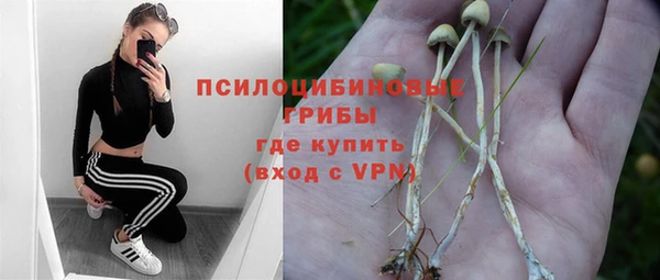 прущие грибы Арсеньев