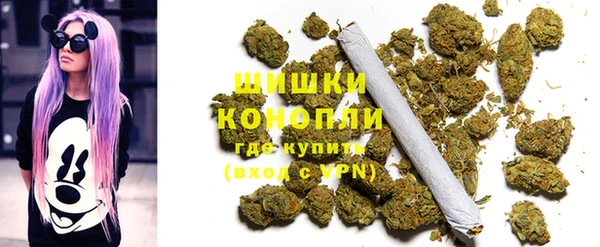 прущие грибы Арсеньев