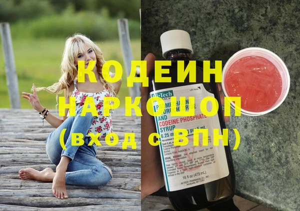 прущие грибы Арсеньев