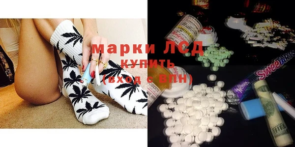 прущие грибы Арсеньев