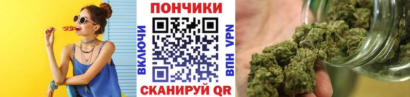 Купить закладки  Беломорск  Бошки Шишки семена 